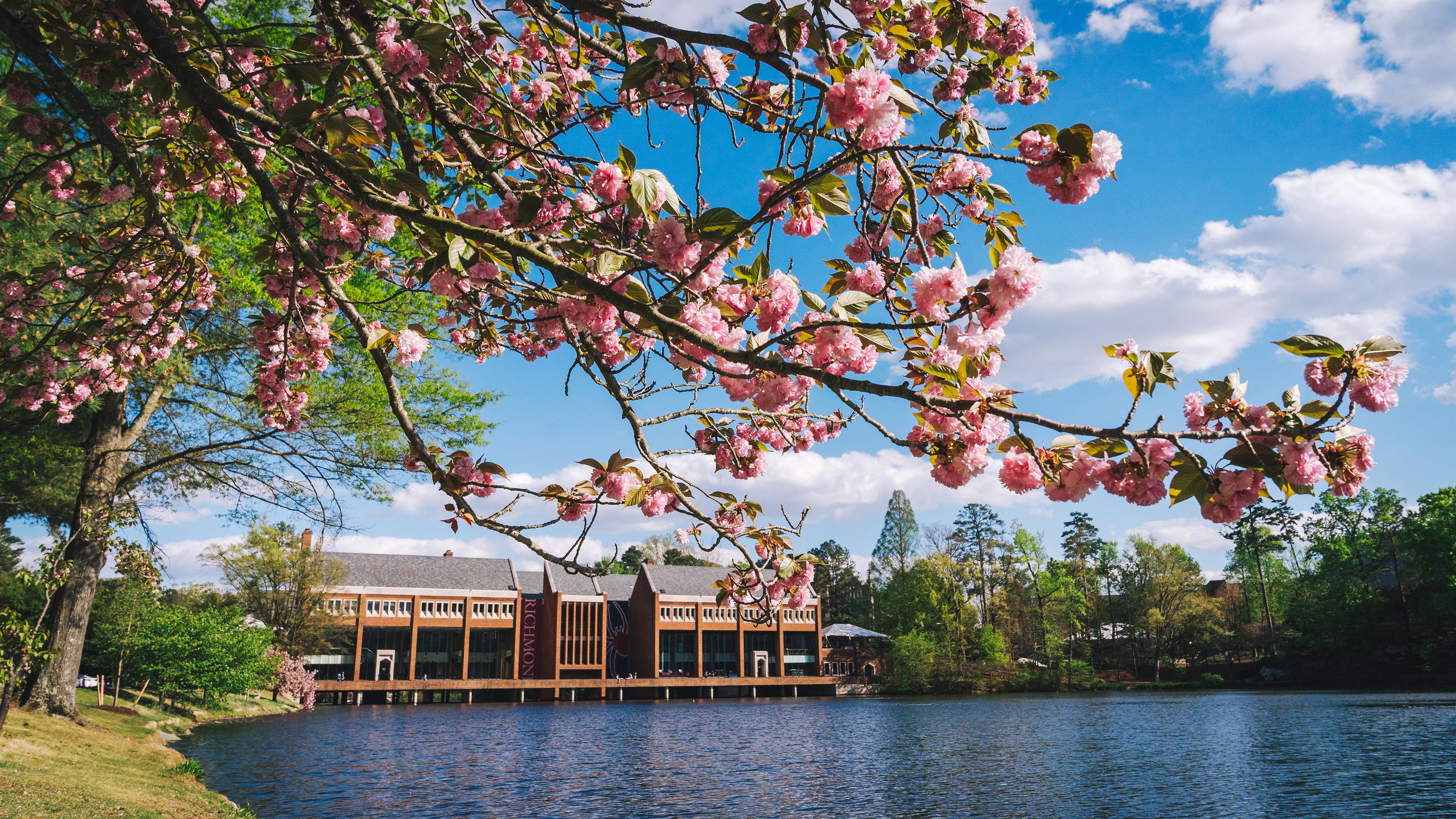 The Ultimate Guide to Planning a College Road Trip - Admissions - University  of Richmond