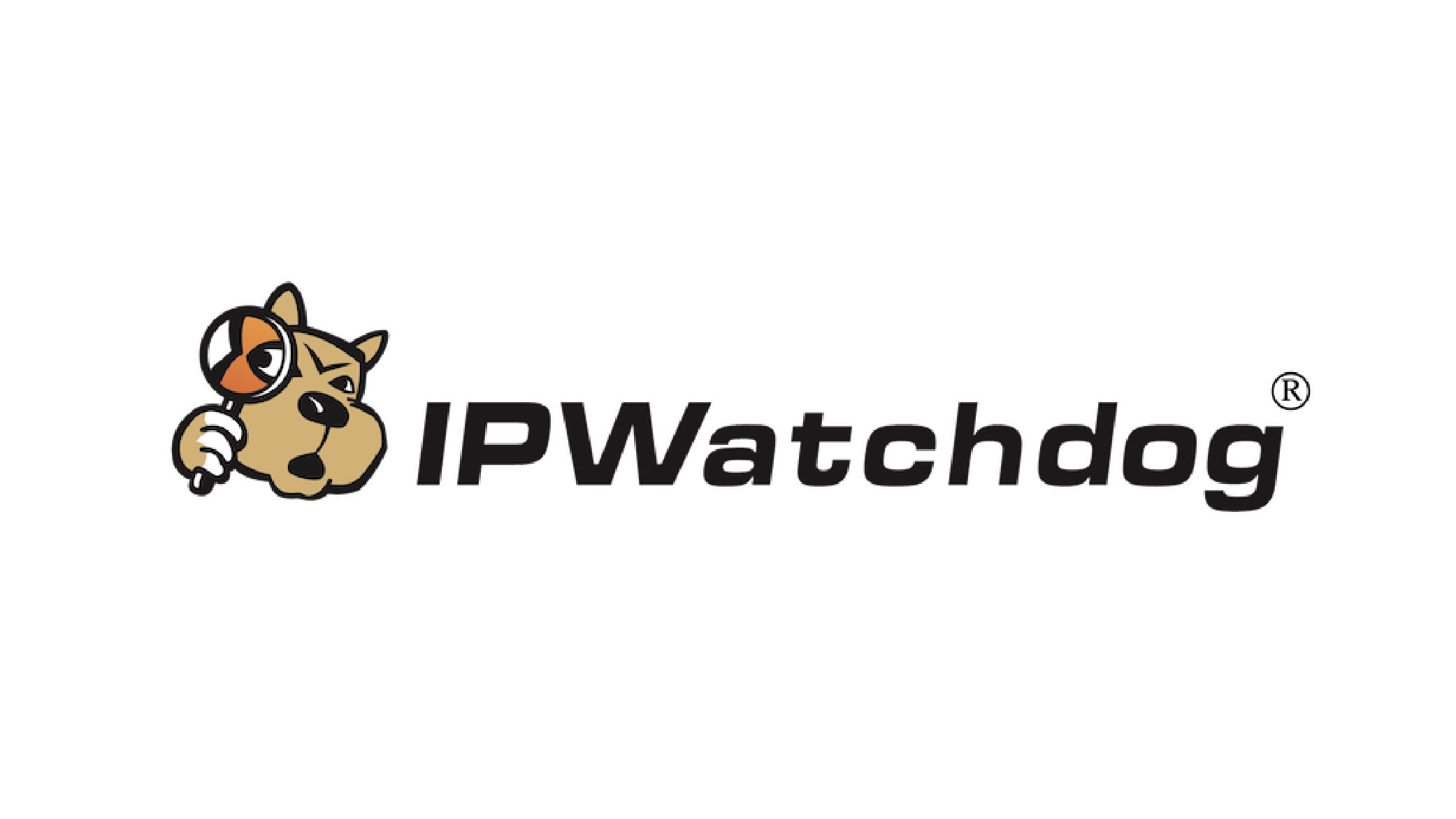 IP Watchdog