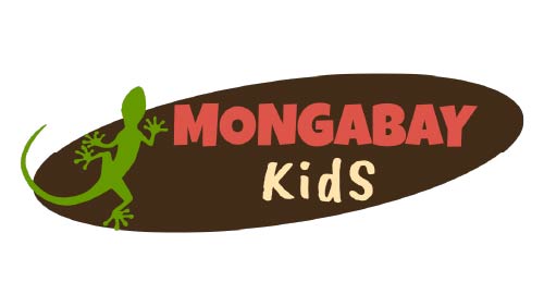 Mongabay Kids