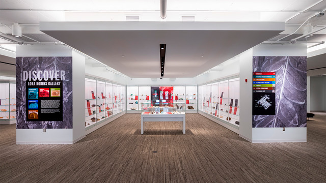Lora Robins Gallery