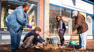 Students planting trees in Jackson Ward