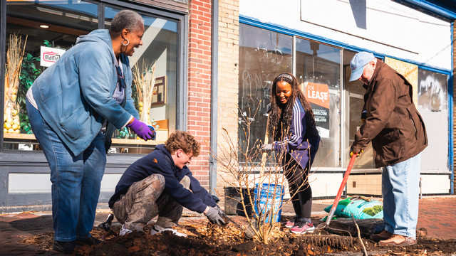 Students planting trees in Jackson Ward
