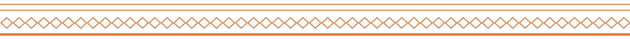 An orange decorative border.