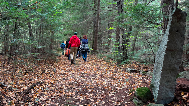 A group of students walk through a forest.