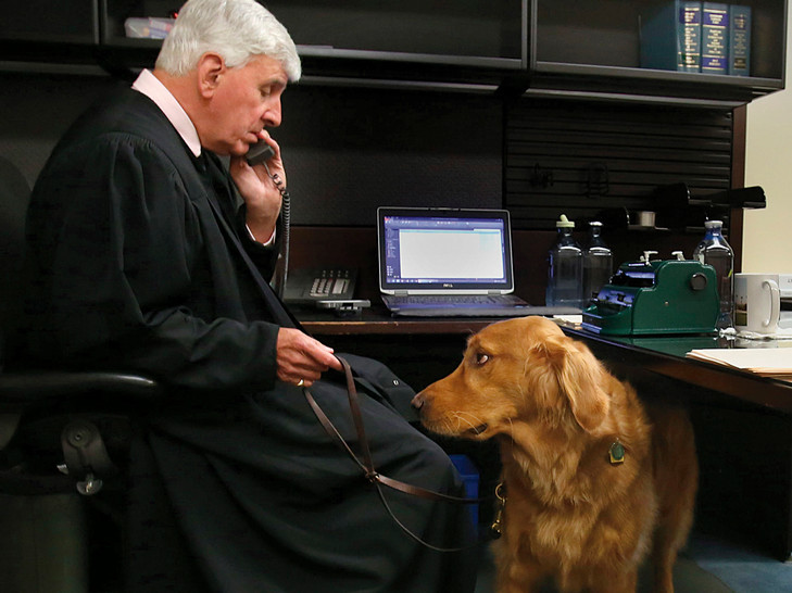 A photo of Dave Szumowski in his office. He is wearign his judges robes, and talks on the phone, while his guide dog sits at his feet, looking up at him.