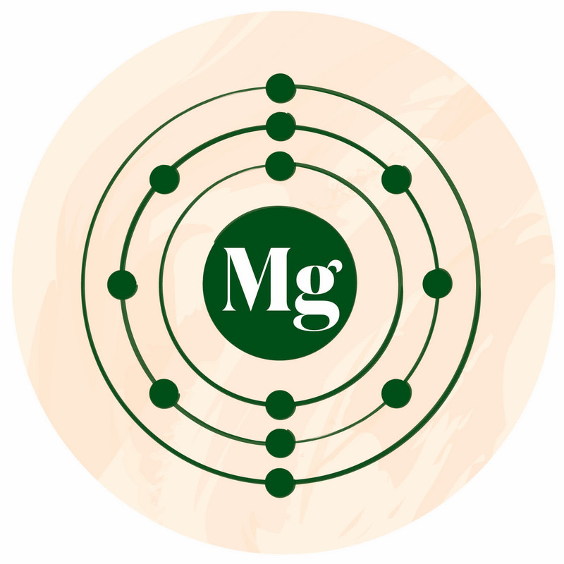 A diagram of the atomic structure of Magnesium