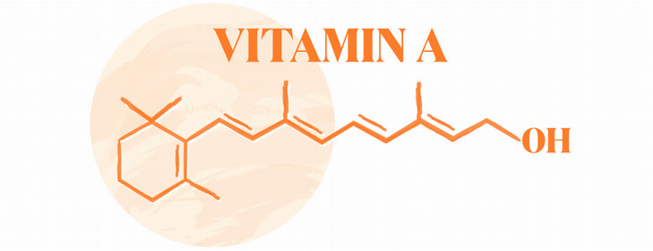 A diagram of the molecular structure of Vitamin A