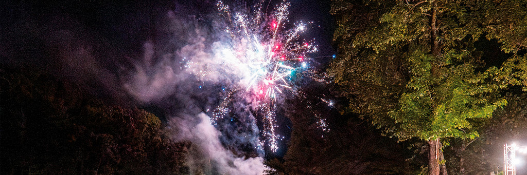 A photo of fireworks over the lake.