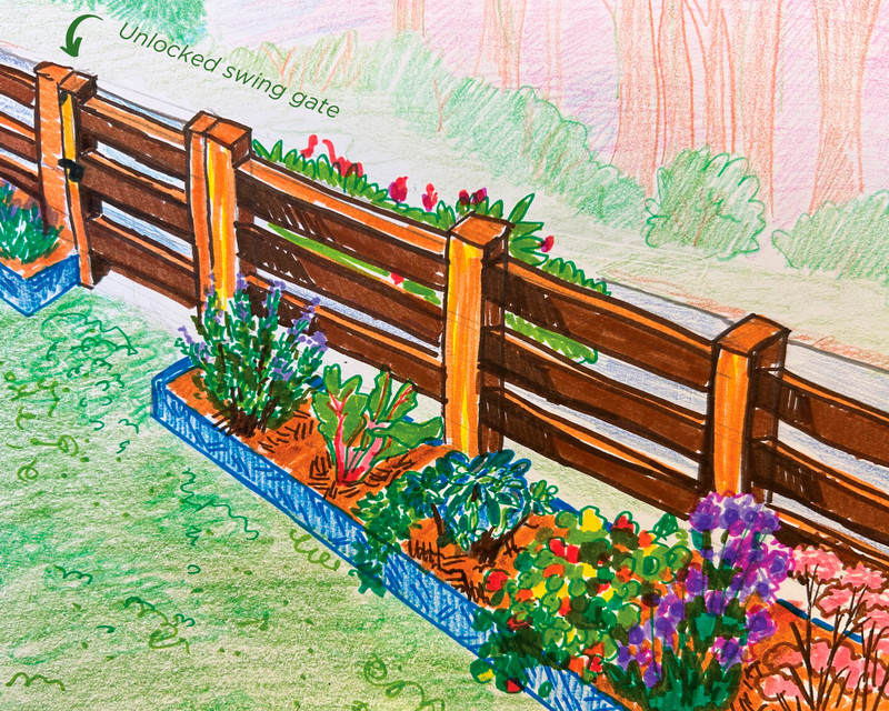 An illustration showing the entrance to the food forest through a swing gate.