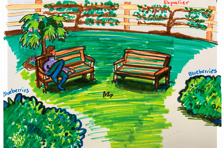 An illustration showing a person sitting on a bench, flanked by blueberry bushes and other small fruit trees.