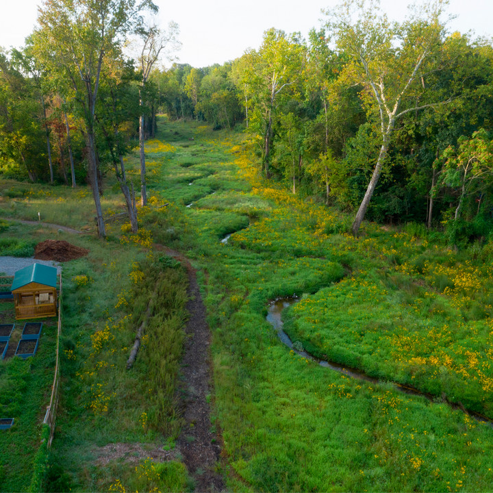 An aerial photo of the eco-corridor at the University of Richmond. The s-shaped curves in Little Westham Creek are visible in the photo.