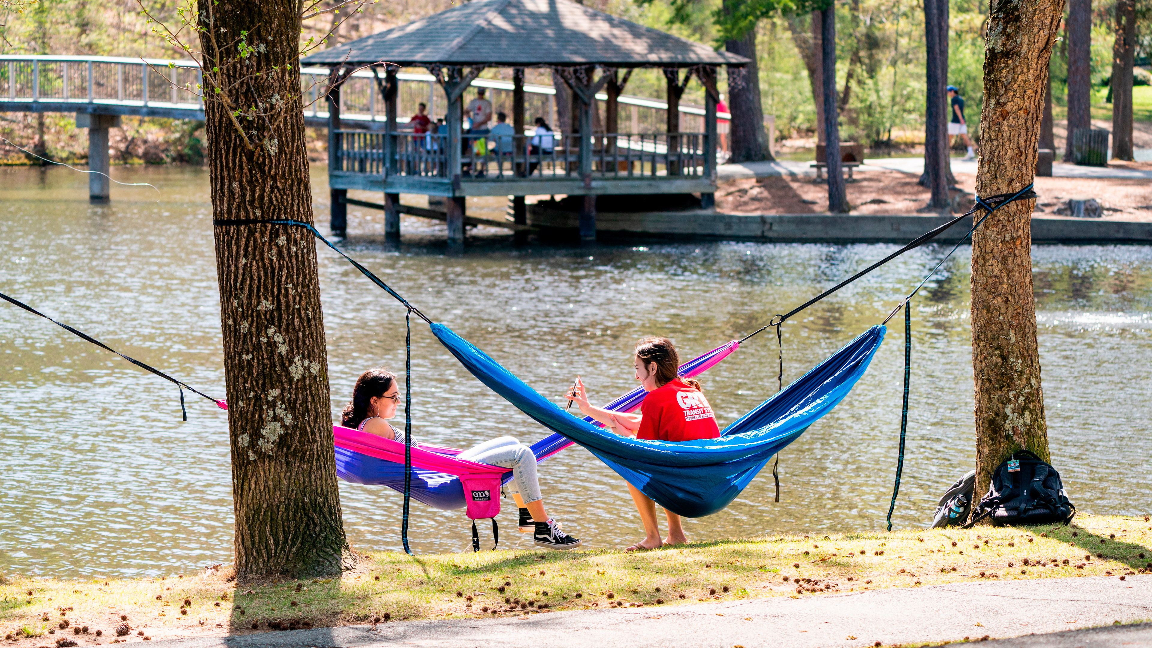 A photo of two students sitting and talking in brightly colored hammocks attached to trees on the shore of Westhampton Lake.