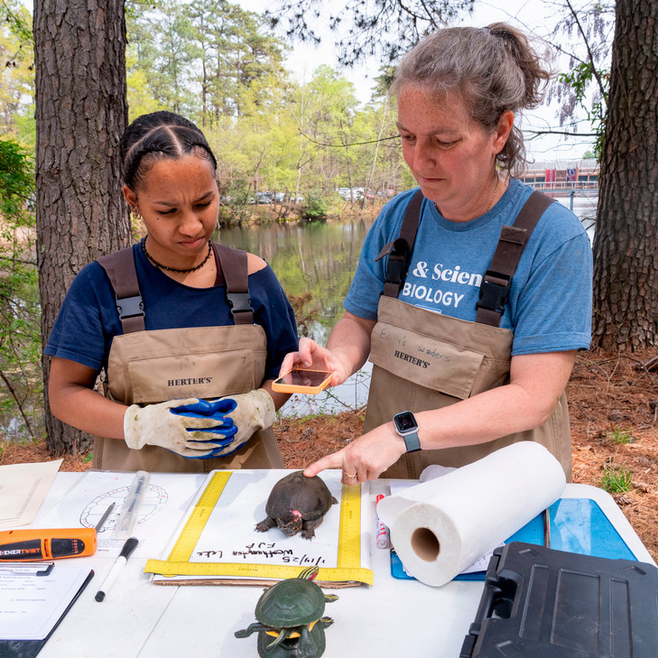 A photo of Senior teaching faculty member Emily Boone with a student conducting research on the turtles from Westhampton lake. They are measuring and photo graphing a turtle before releasing it back into the lake.