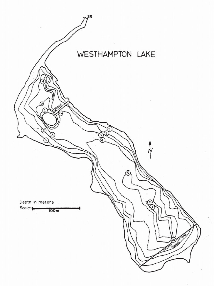 A bathymetry drawing of Westhampton Lake from 1978 showing topographic-style lines indicating water depth in meters.