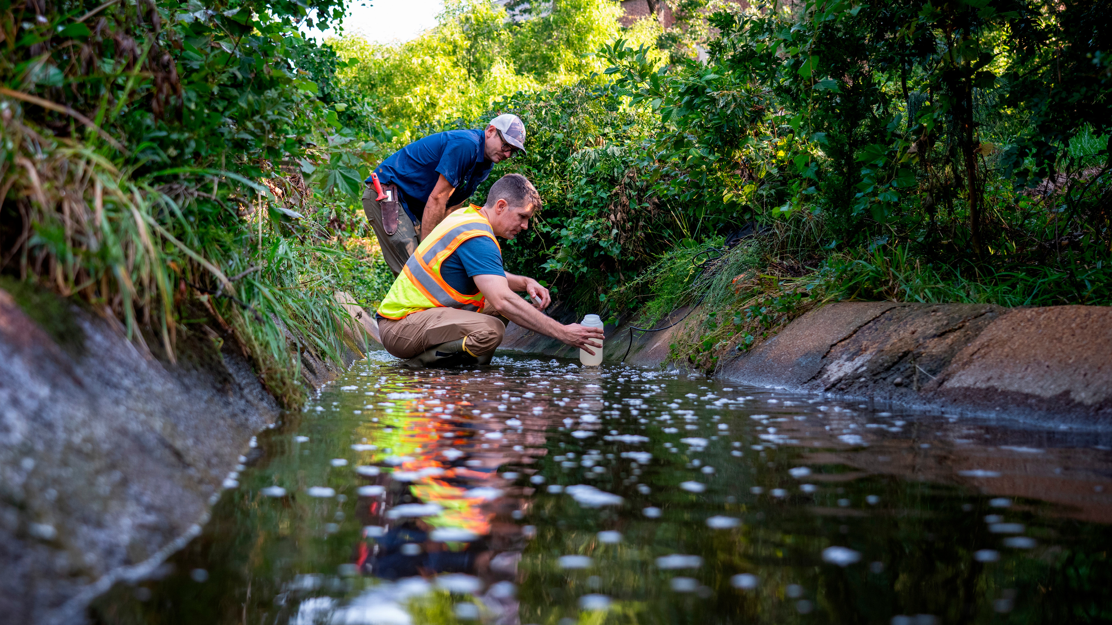 A photo of professor Jonathan Richardson and Natural Areas Steward Joseph Day collecting water samples in Little Westham Creek on the University of Richmond campus. The are wearing waders and kneeling in the water with a sample bottle. The creek surrounded with summer foliage.
