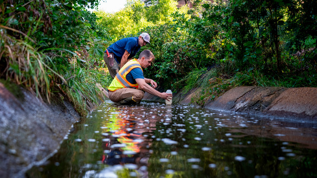 A photo of professor Jonathan Richardson and Natural Areas Steward Joseph Day collecting water samples in Little Westham Creek on the University of Richmond campus. The are wearing waders and kneeling in the water with a sample bottle. The creek surrounded with summer foliage.