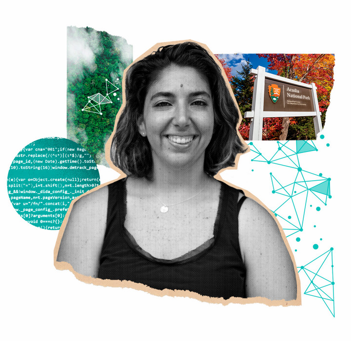 A collage featuring Stephanie Spera.