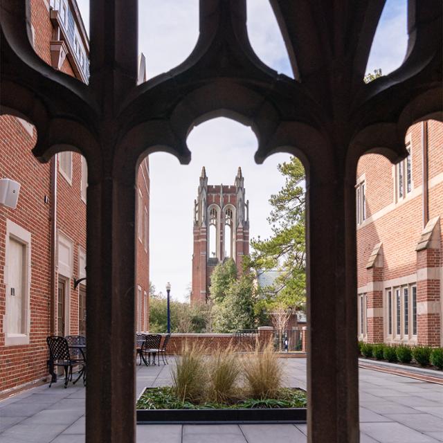 Anton Korinek headshot