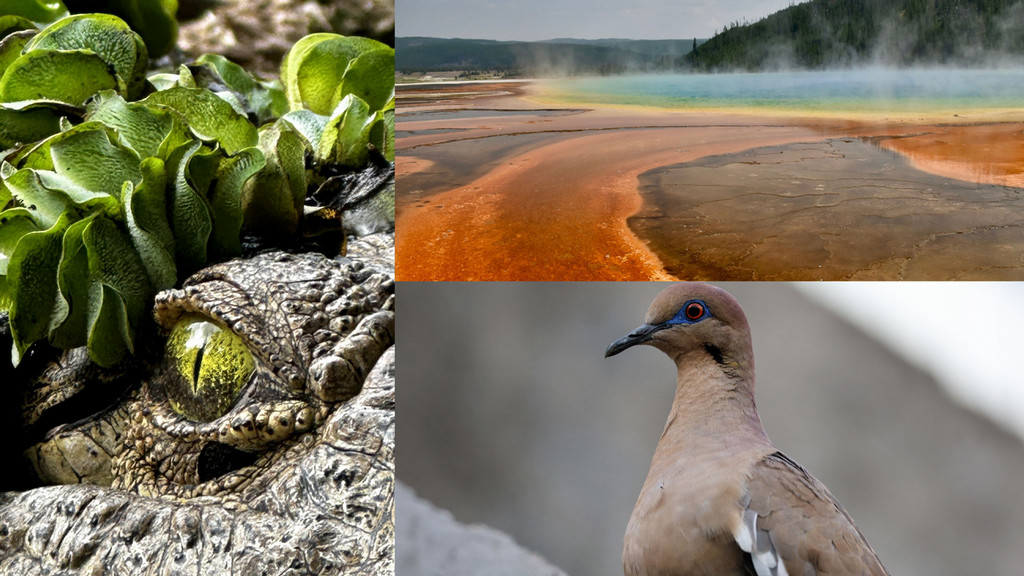 2026 Photo contest winners