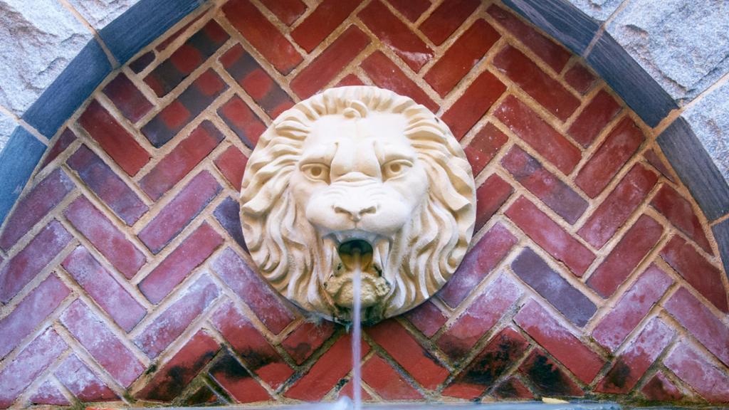 Sculpture and fountain of a lion head at Weinstein Hall.