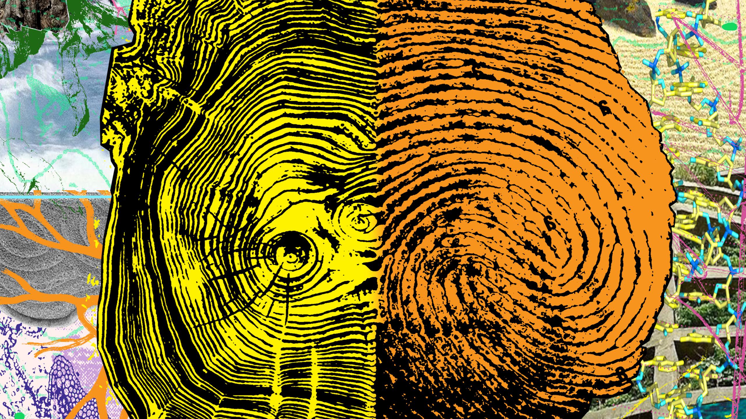 2024-2025 Tucker-Boatwright Festival of Literature & the Arts 