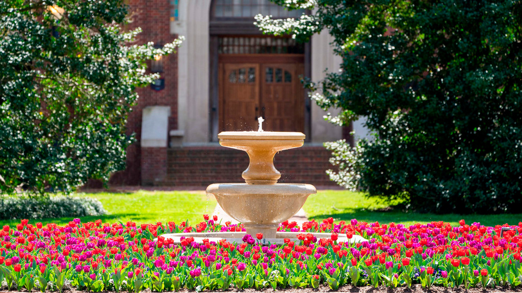 exterior photo of Westhampton Green