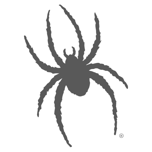 University of Richmond Spider