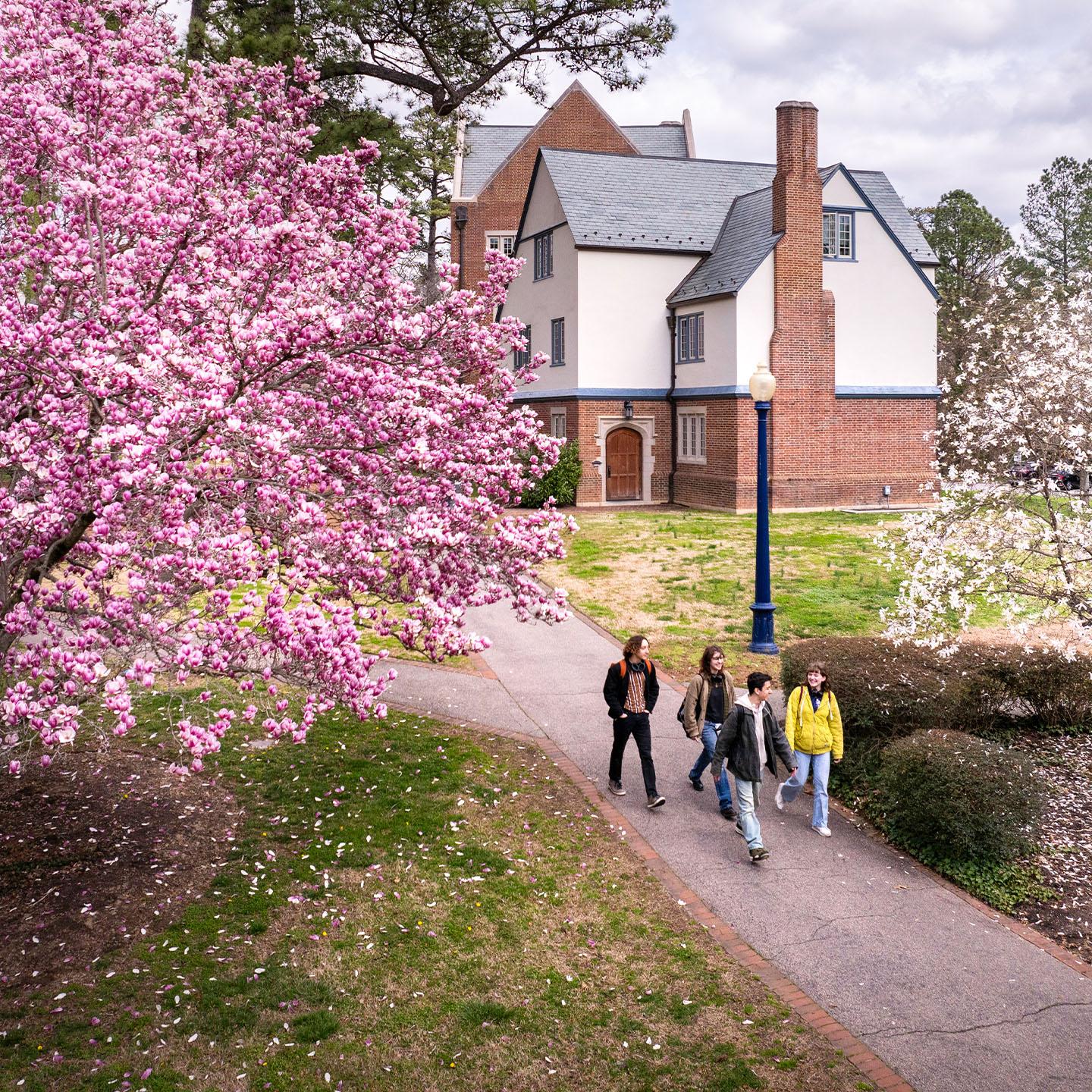 Tuition & Student Accounts