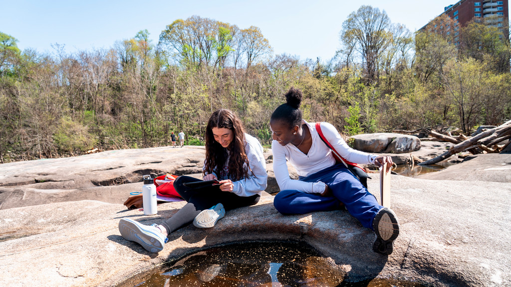 Rock Pools Research