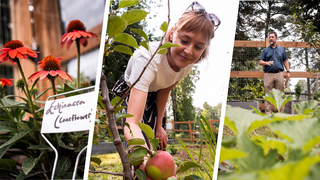 UR Orchard and Food Forest