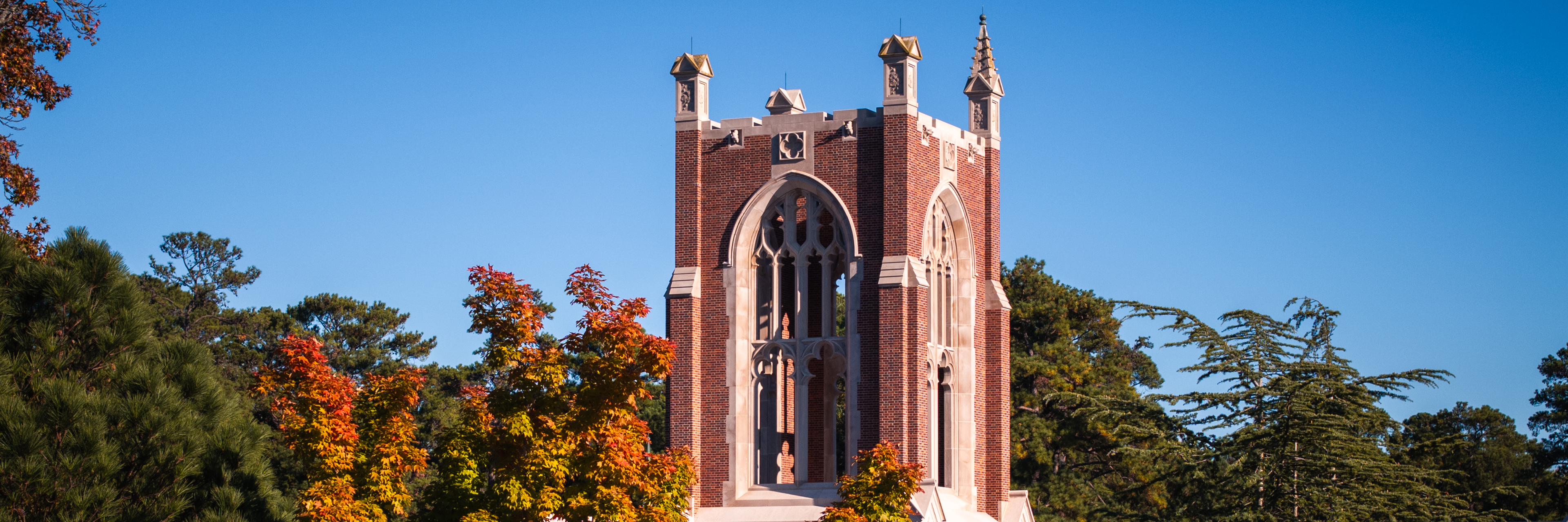 An aerial photo of the top of Jepson Hall, surrounded by fall leaves