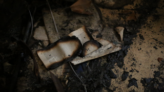 books with burned edges