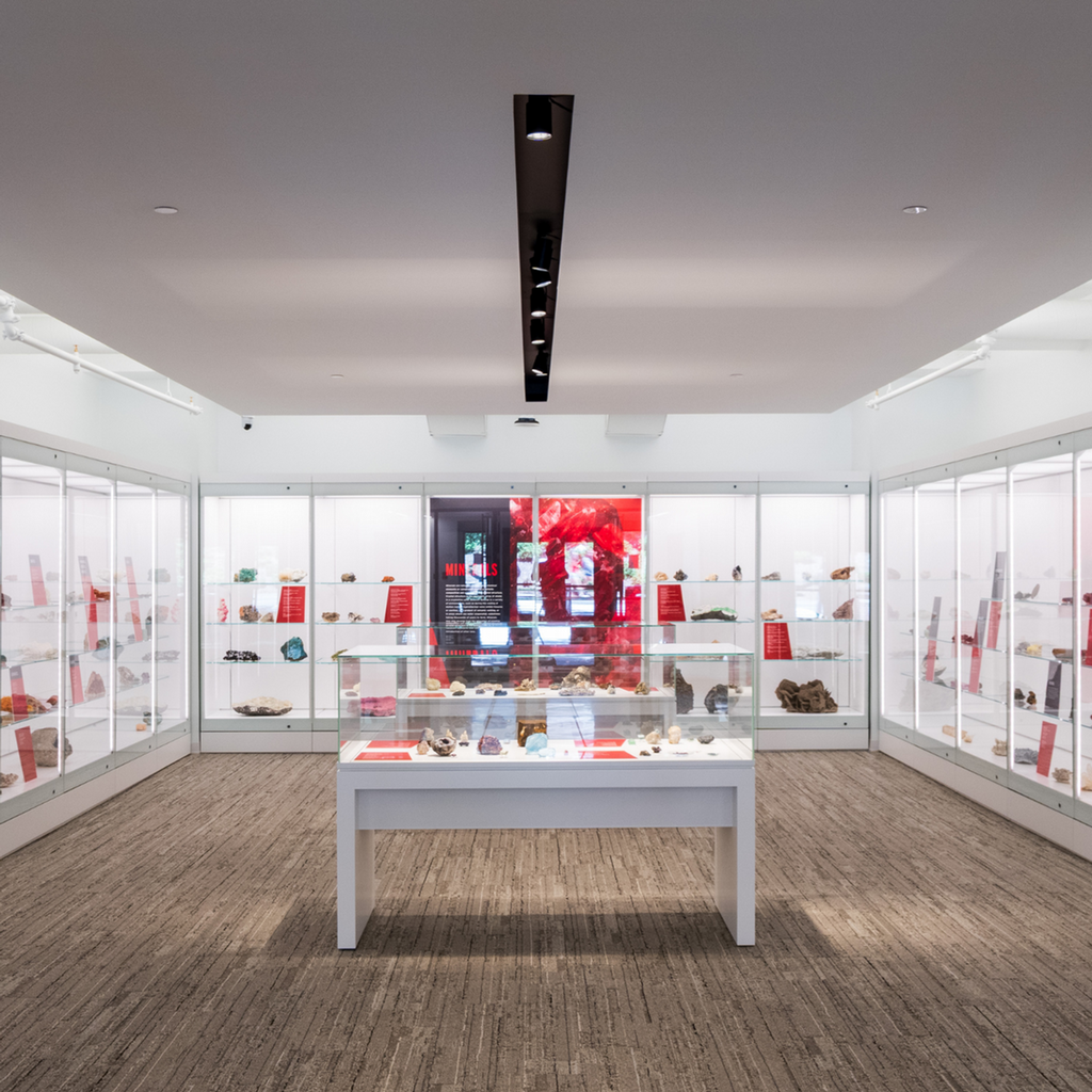 Lora Robins Gallery