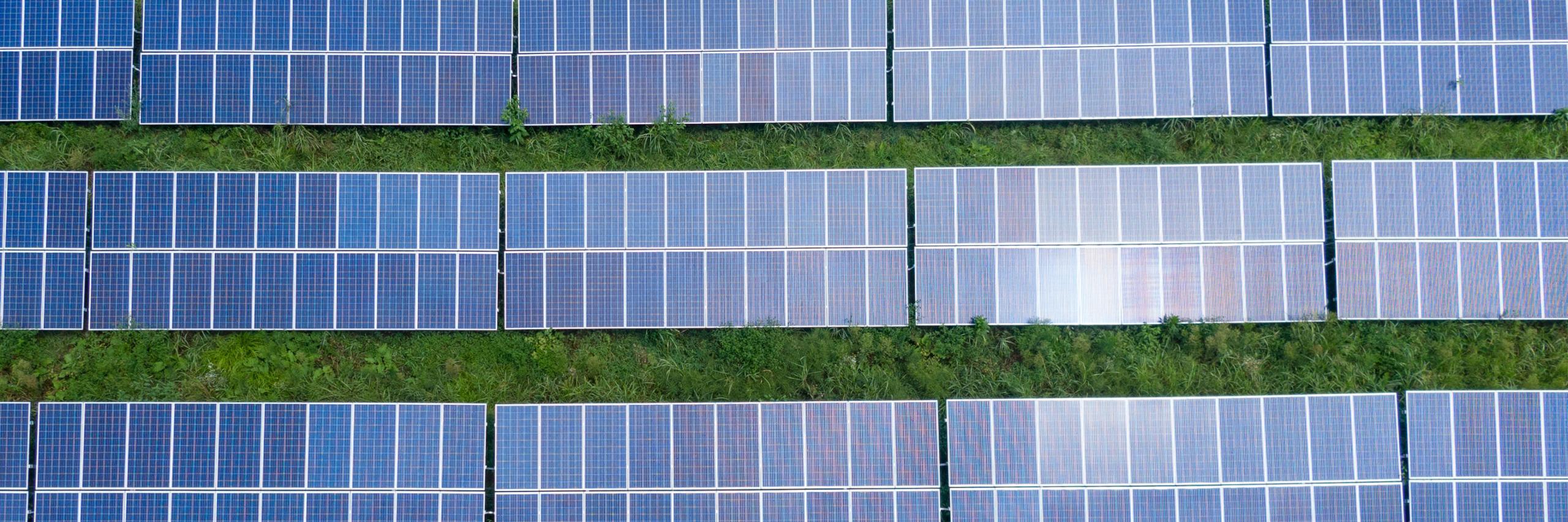 Climate Change Experts