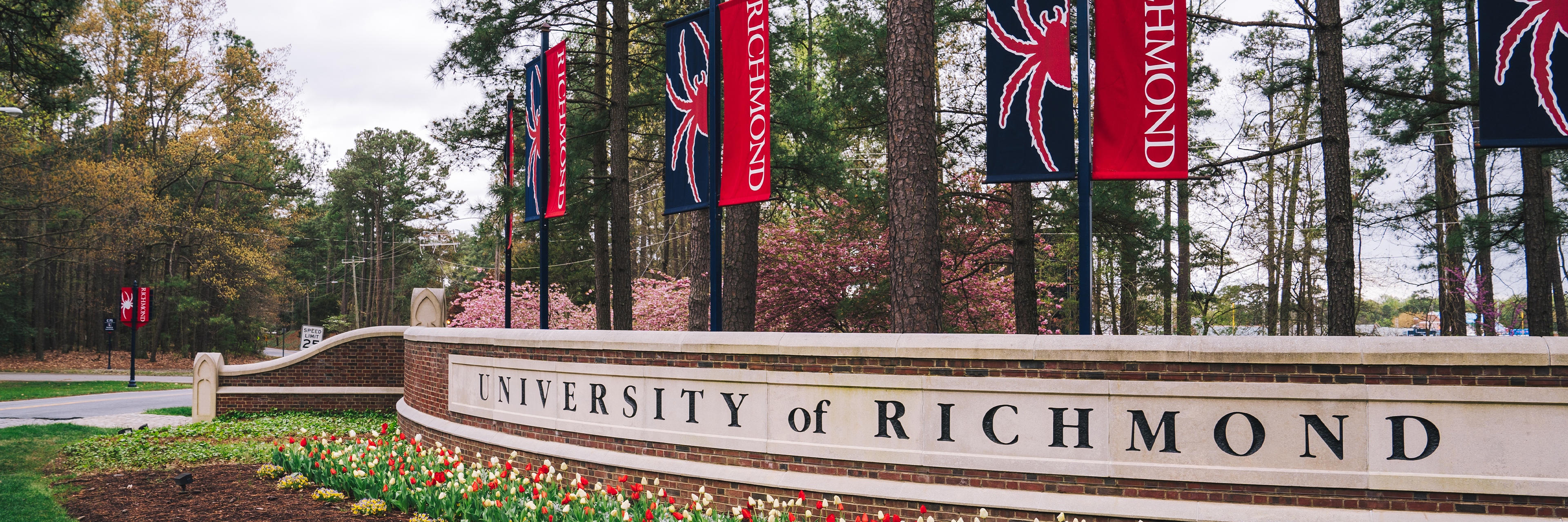 new-spiders-university-of-richmond
