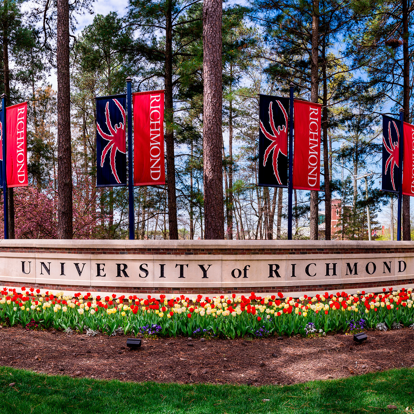 Office of the President