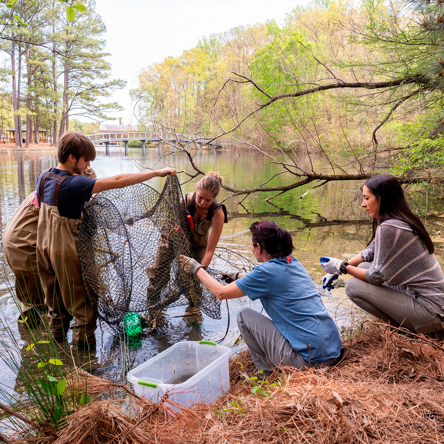 Enhanced Student Learning