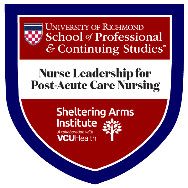 Nurse Leadership badge