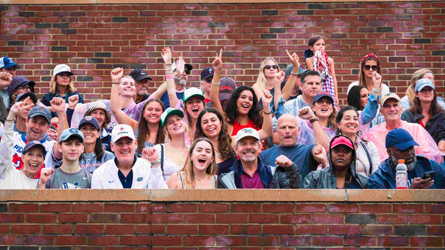 Group cheering in the crowd