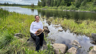 lake environment