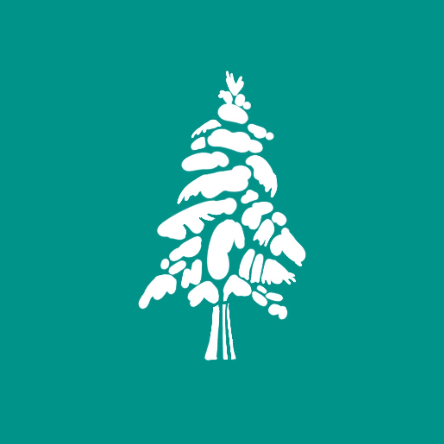 pine tree with snow