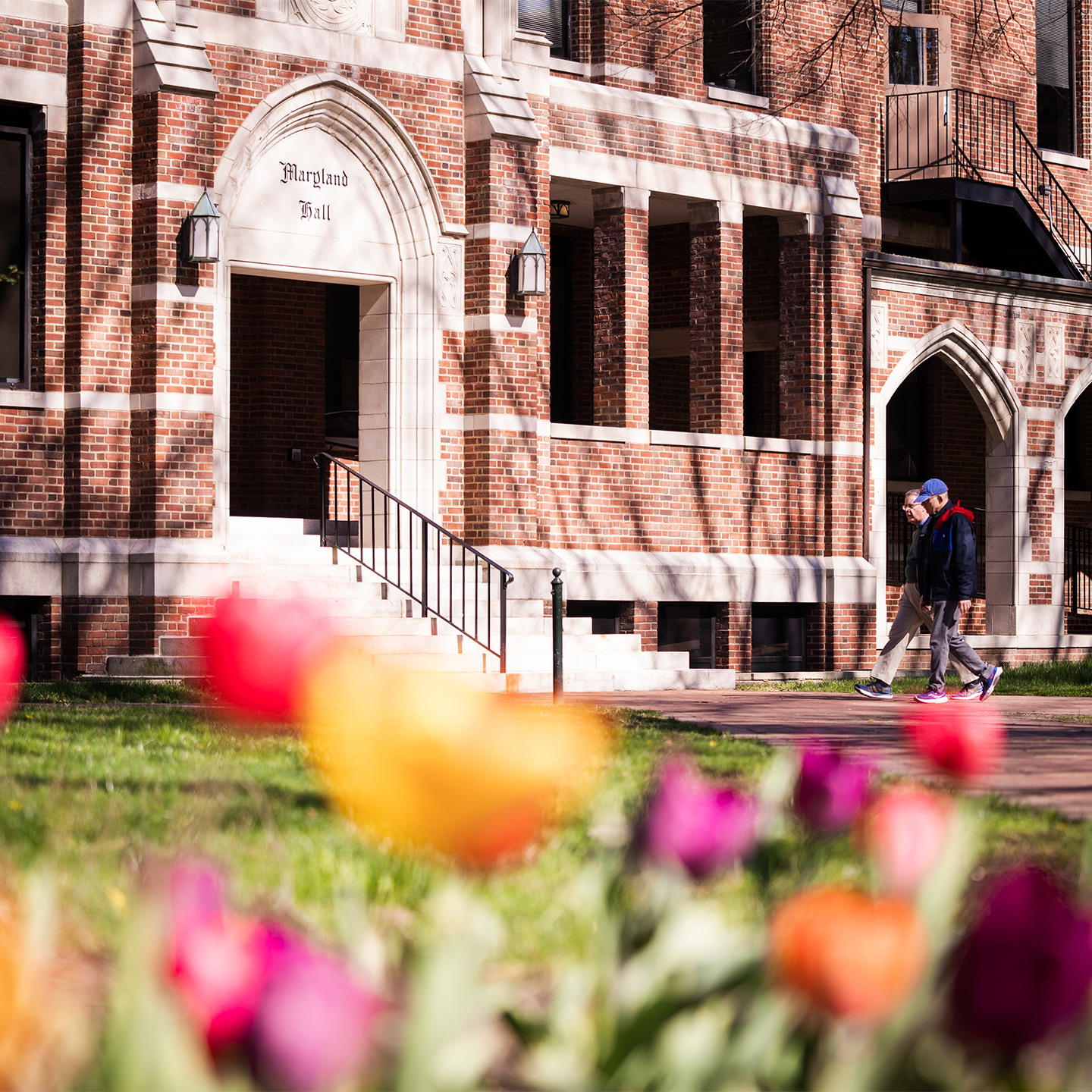 People walking into Maryland Hall