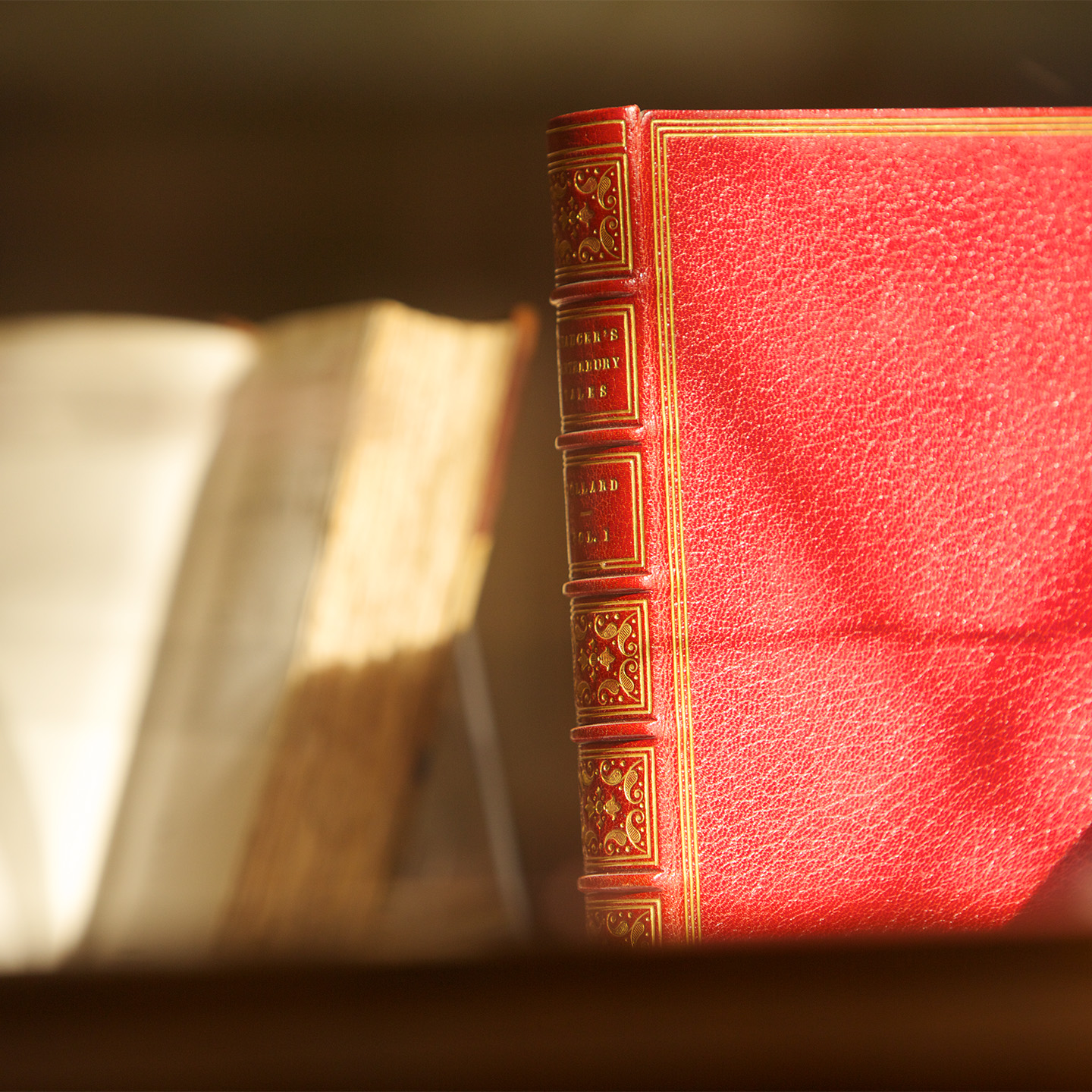 Book on a shelf
