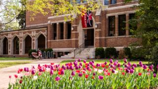 Tulips in bloom in front of building