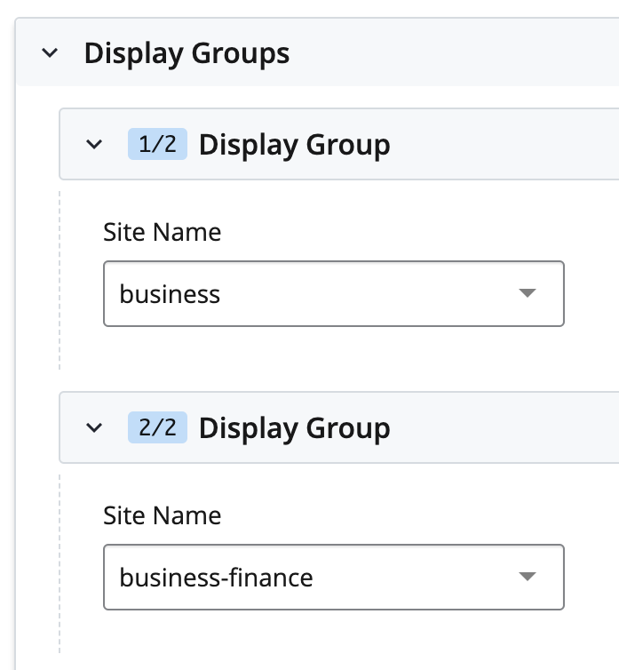 Screenshot of display group fields