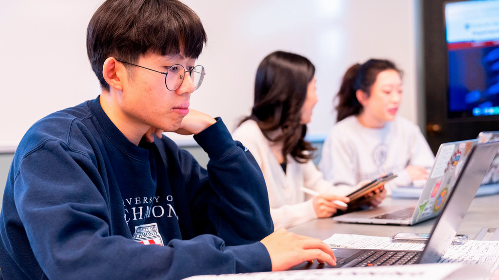 Student working on laptop