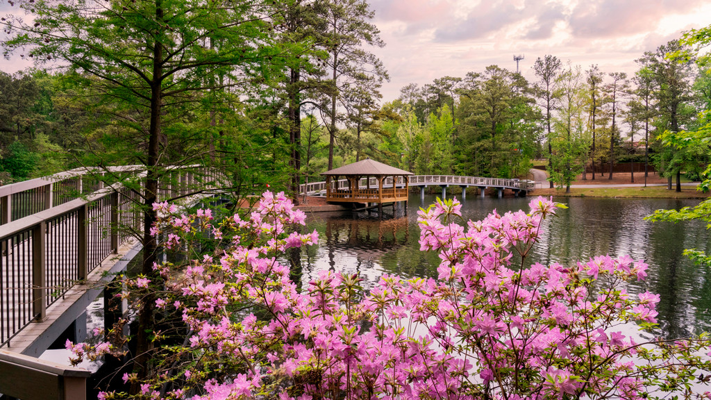 The gazebo in springtime
