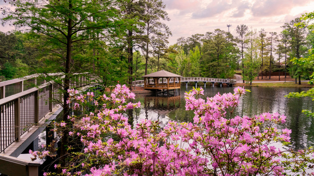 The gazebo in springtime