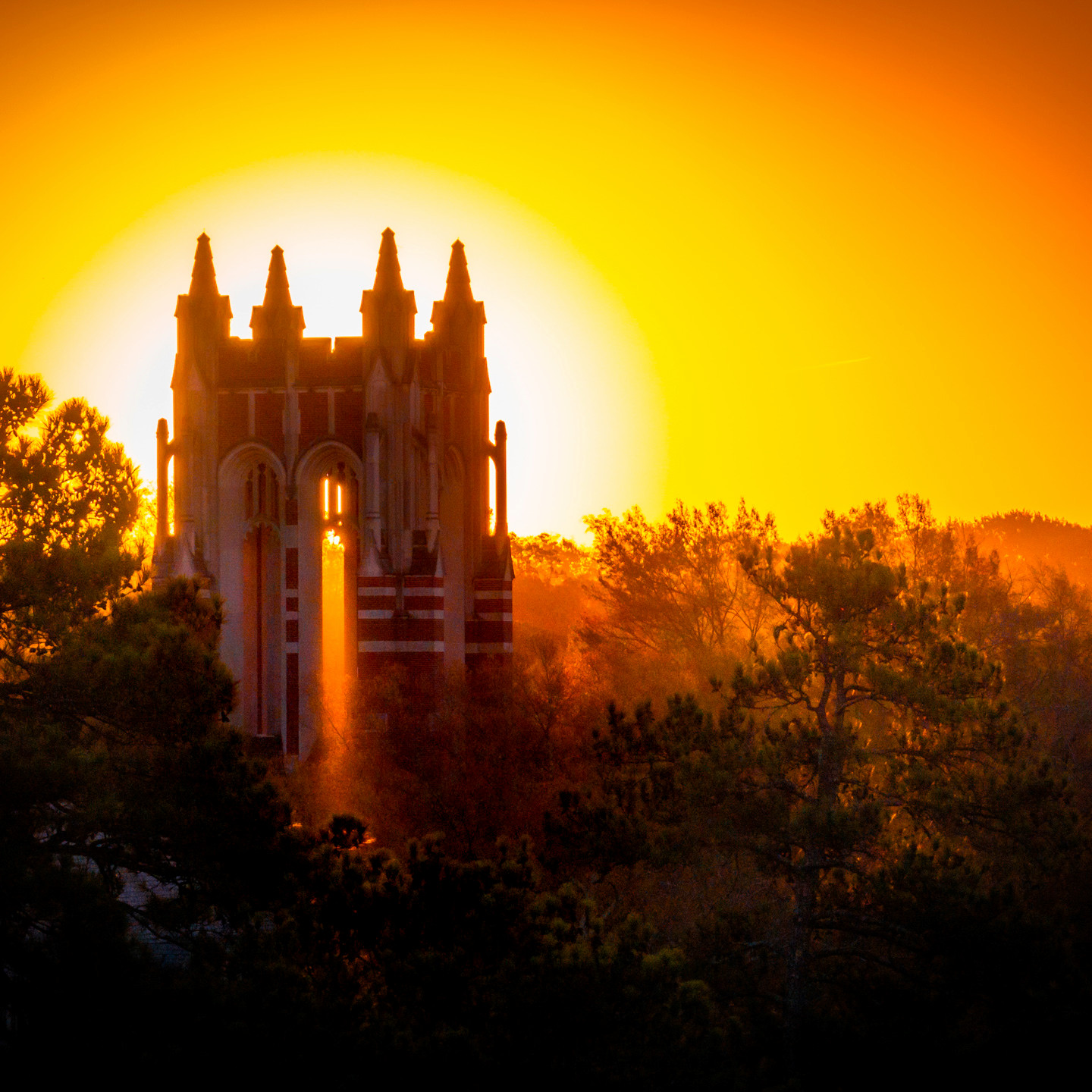 Workday News Archive