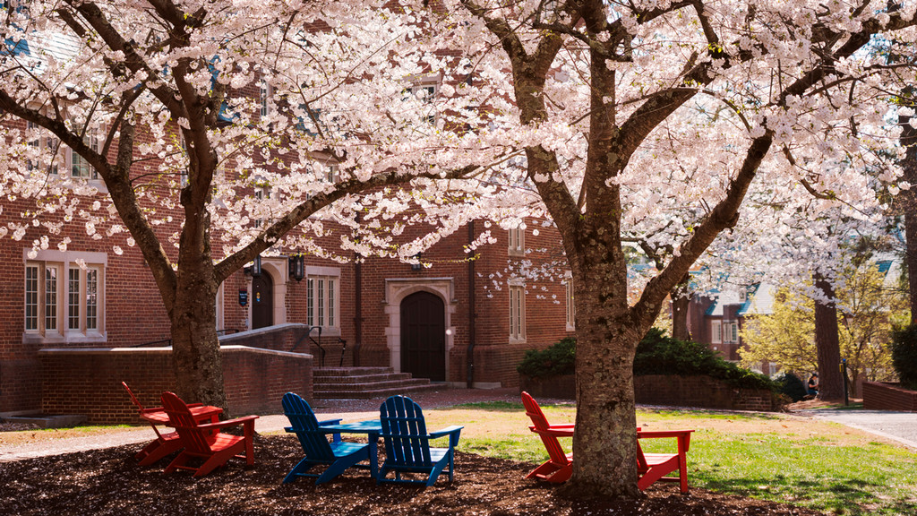 The campus in springtime